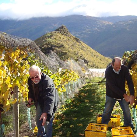 Mt Rosa Lodge Boutique Vineyard Accommodation Wanaka Exterior foto